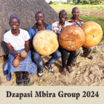 Dzapasi Mbira Group 2024